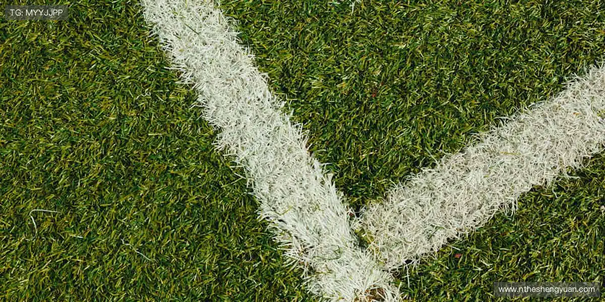 📺 弹幕互动，燃爆全场！看直播，就要和千万球迷一起嗨！