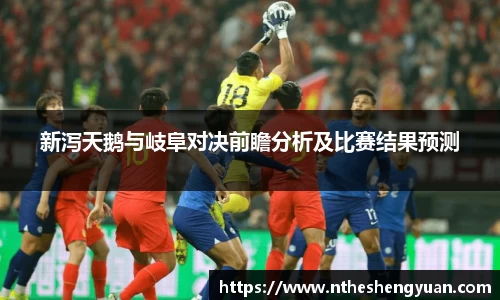 新泻天鹅与岐阜对决前瞻分析及比赛结果预测